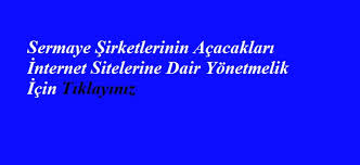 SERMAYE ŞİRKETLERİNİN AÇACAKLARI İNTERNET  SİTELERİNE DAİR YÖNETMELİK